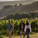 Cao Vadio Wine And Villa Carlao