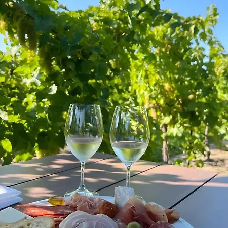 Βίλα Cao Vadio Wine And