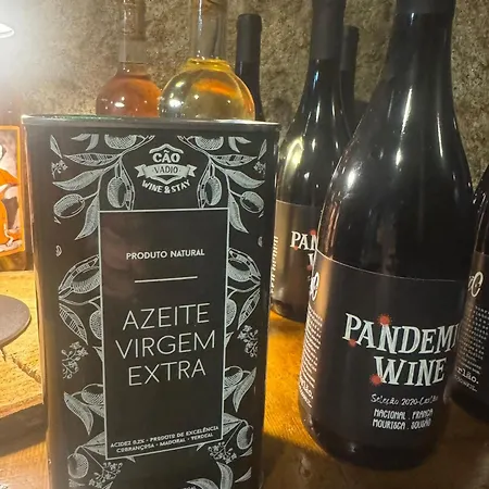 Cao Vadio Wine And Βίλα