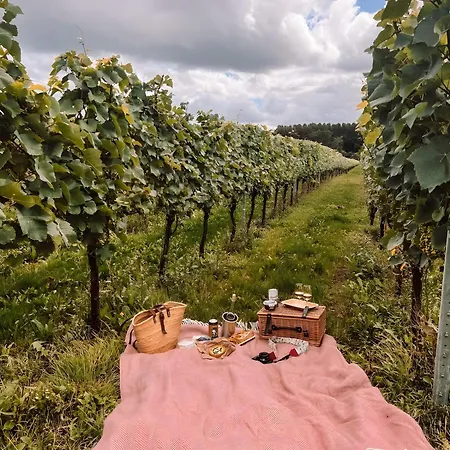 Cao Vadio Wine And Βίλα